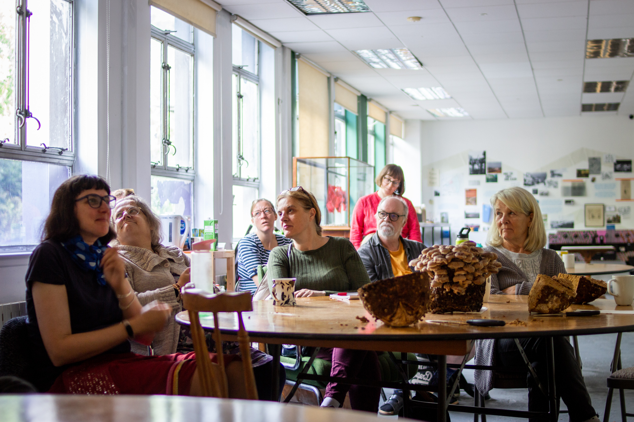 7 people of different ages sit around a table in St Anne's Hosue looking at some mushrooms