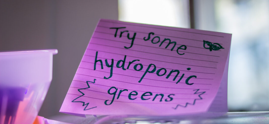 A piece of folded lined paper with the words 'Try some hydroponics greens' in a purple light.