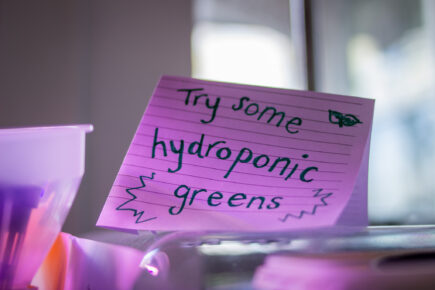 A piece of folded lined paper with the words 'Try some hydroponics greens' in a purple light.