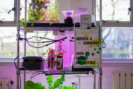 A metal stand with plants growing for Hydroponics.